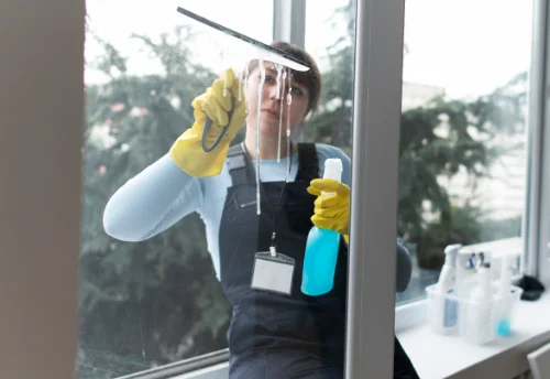 Nettoyage de vitres intérieures et extérieures à Saint-Didier